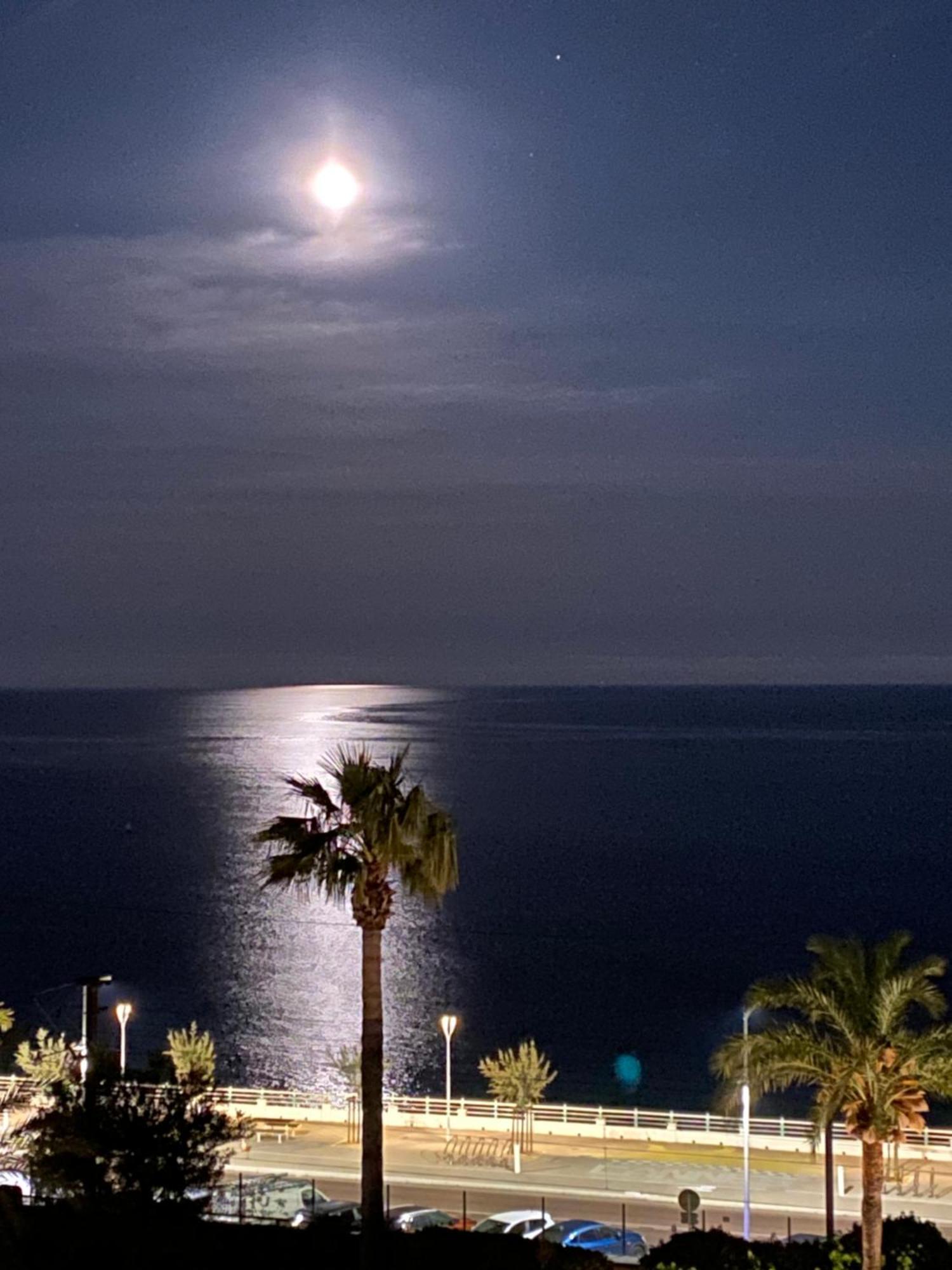 Bord De Mer, Terrasse, Tout A Pieds Cannes Dış mekan fotoğraf